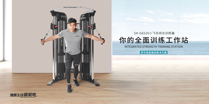 开元健身器材-小飞鸟综合训练器SH-G6520